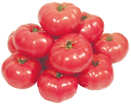 Tomaten - Vleestomaten KAL 92