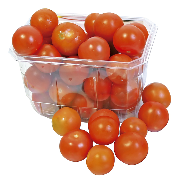 Tomaten Cokt. Schaal