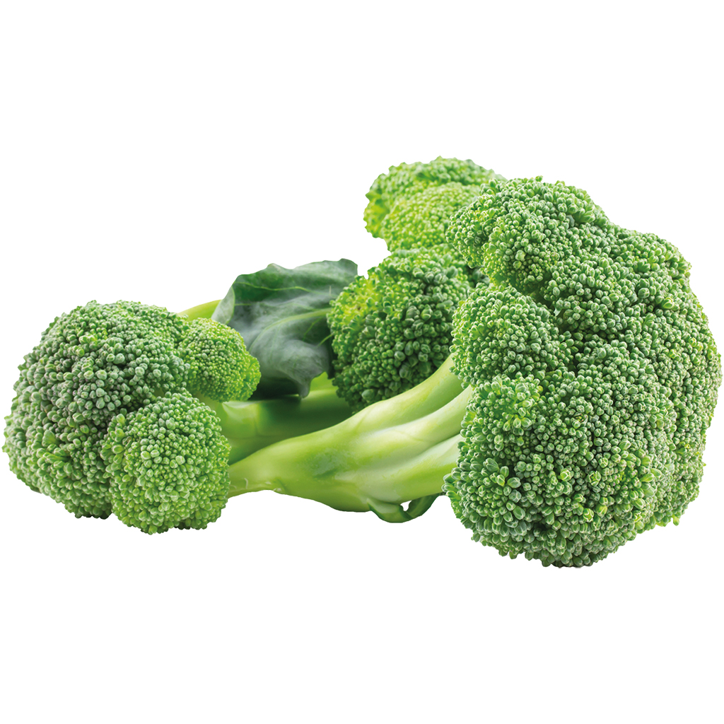 Broccoli