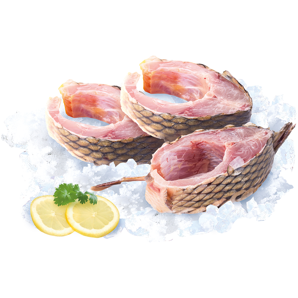 Zilverkarper Steak (Cyprinus carpio) "Tolstolobik", vers