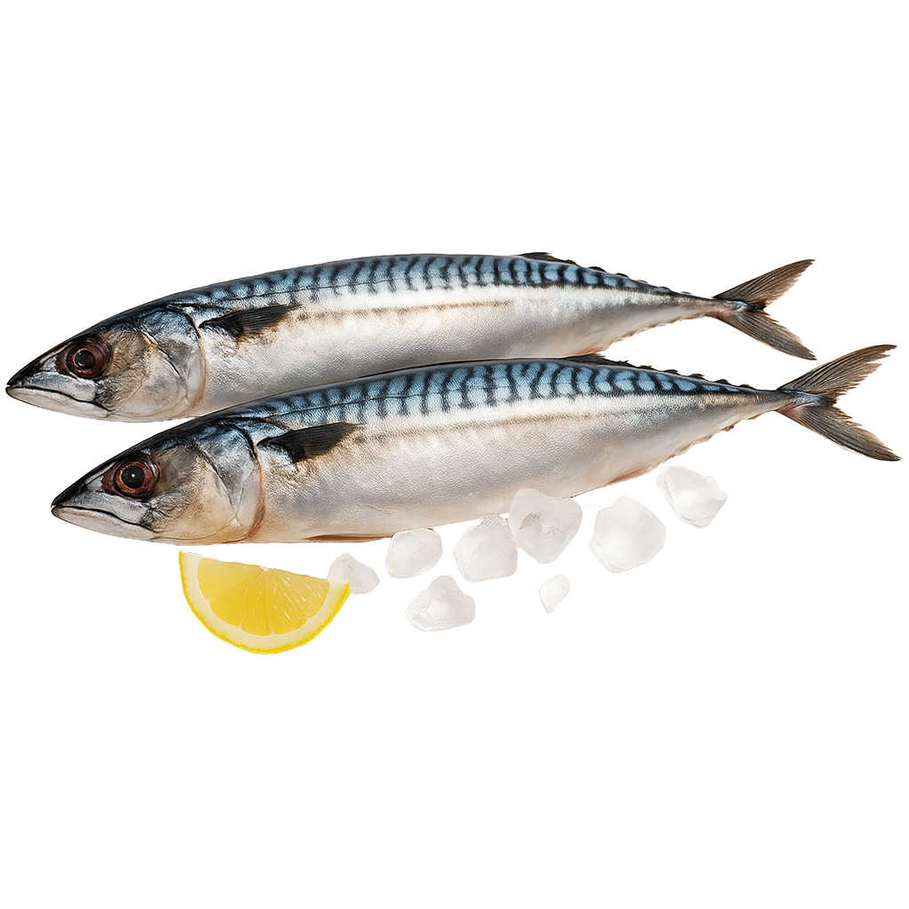 Gegrilde makreel Rund ontdooid