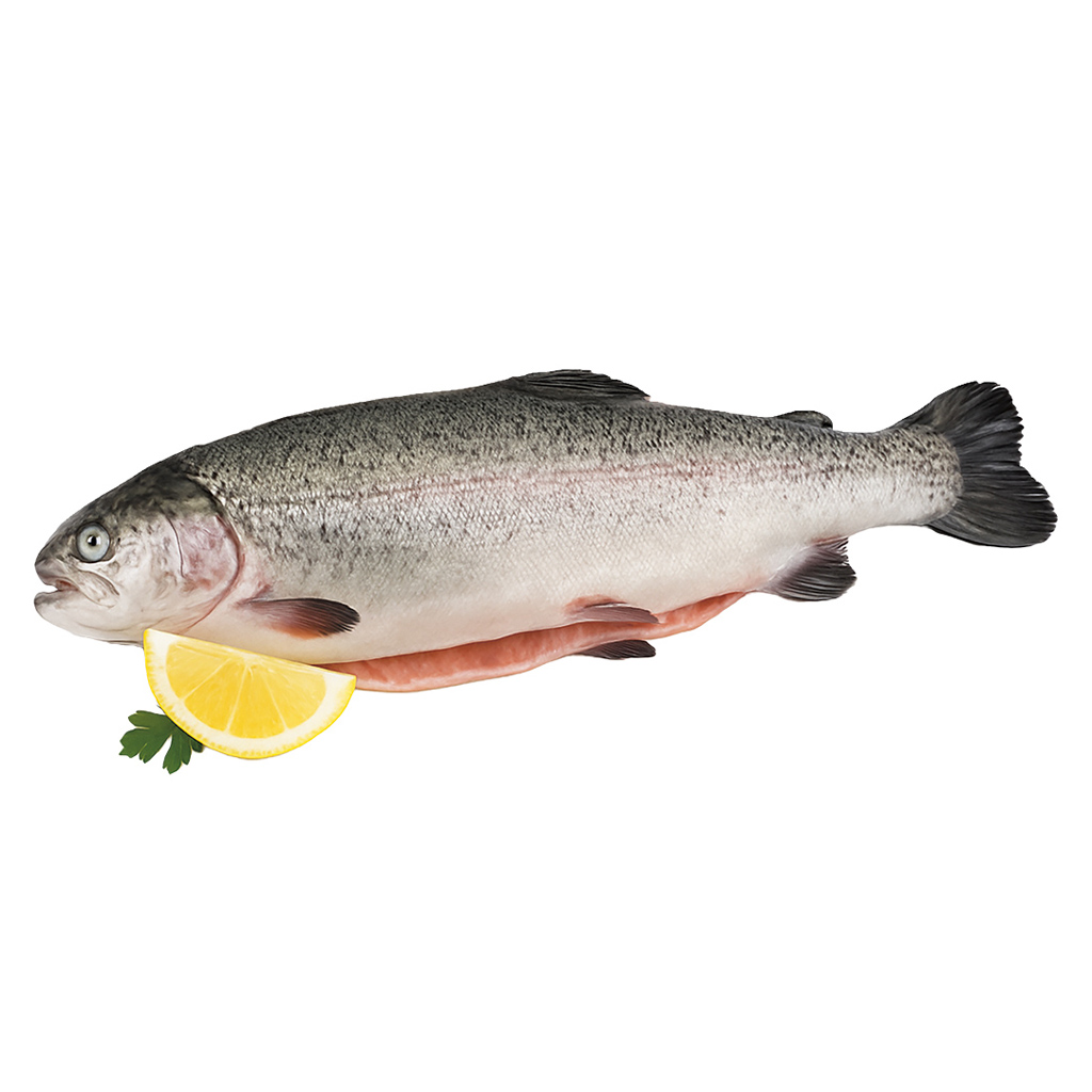 Zalmforel, schoongemaakt