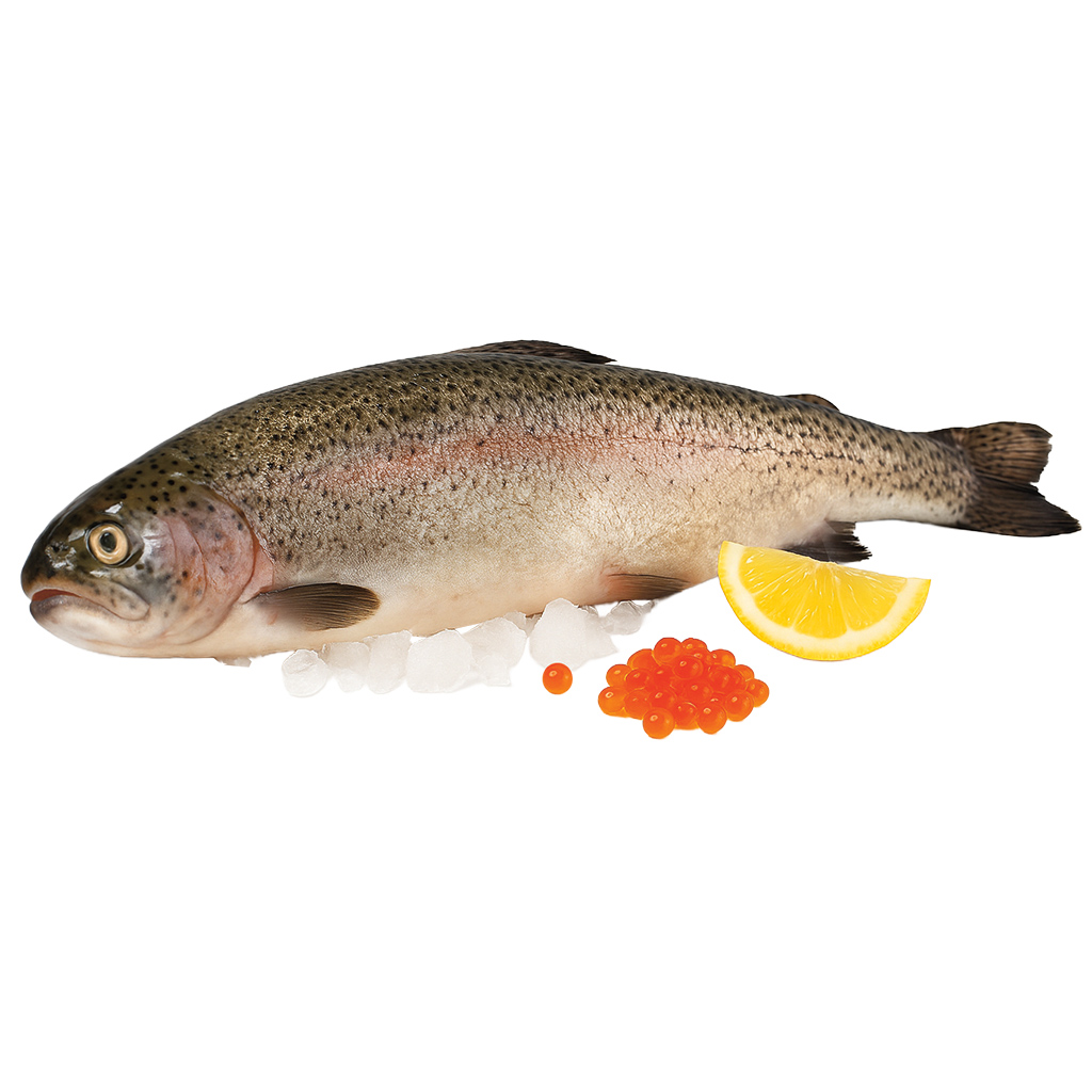 Zalmforel rond met rode kaviaar