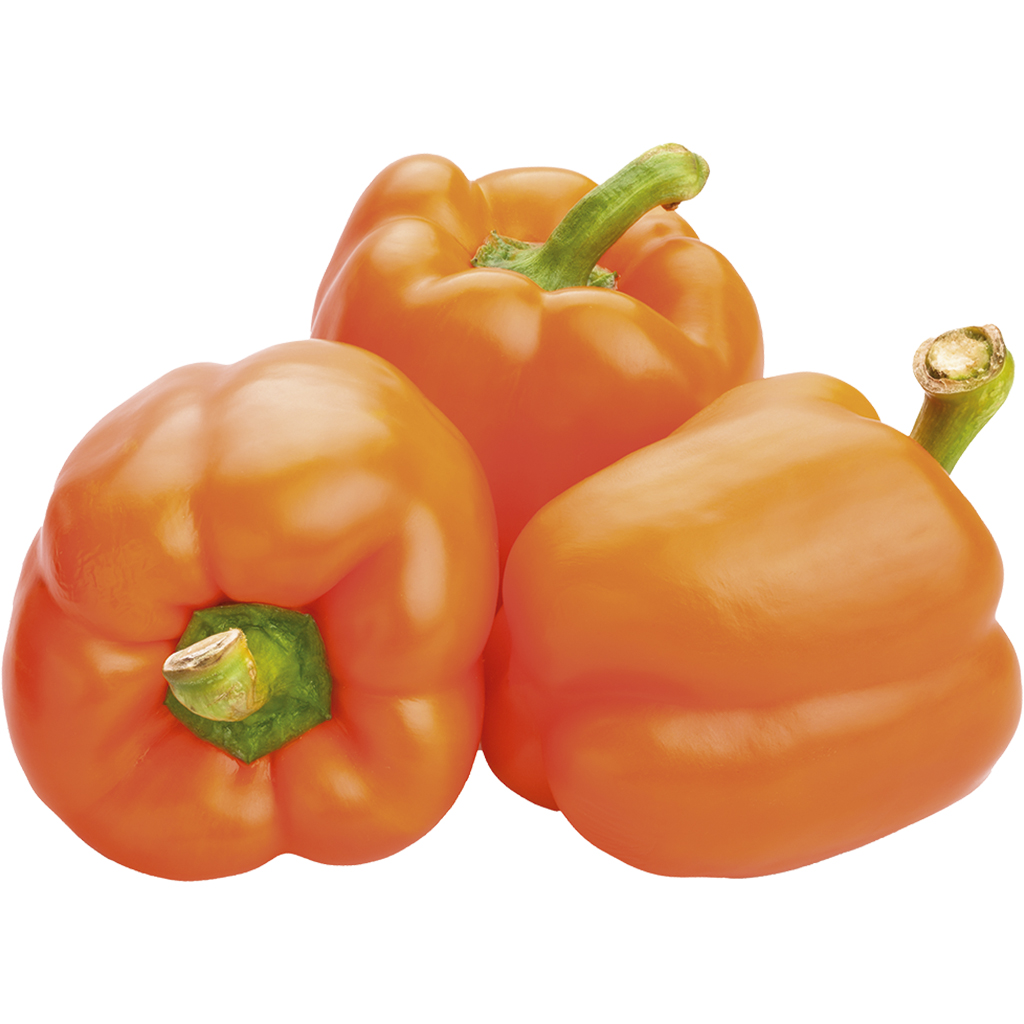 Paprika oranje