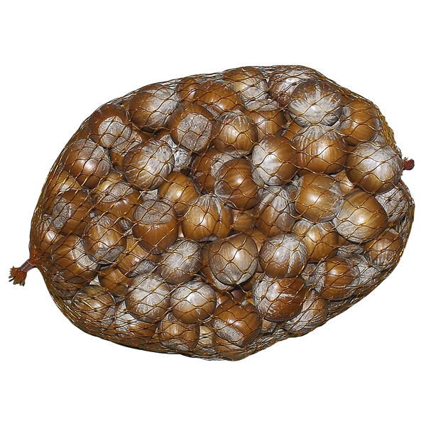 Фундук