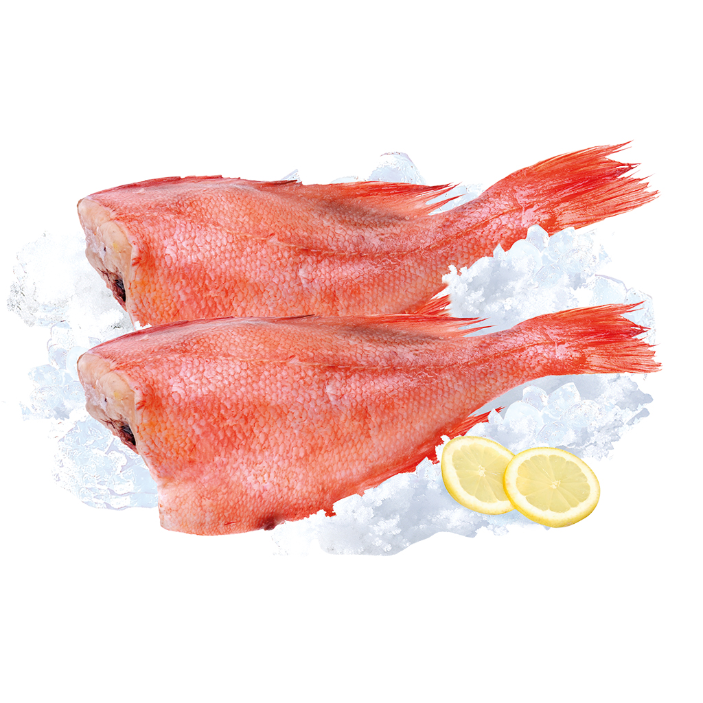Verse rode baars zonder kop (Sebastus marinus)