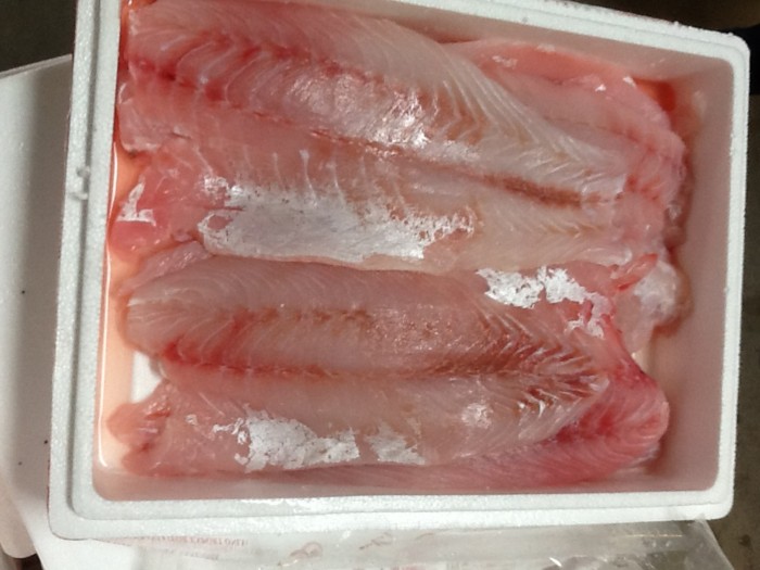 Verse baarsfilet