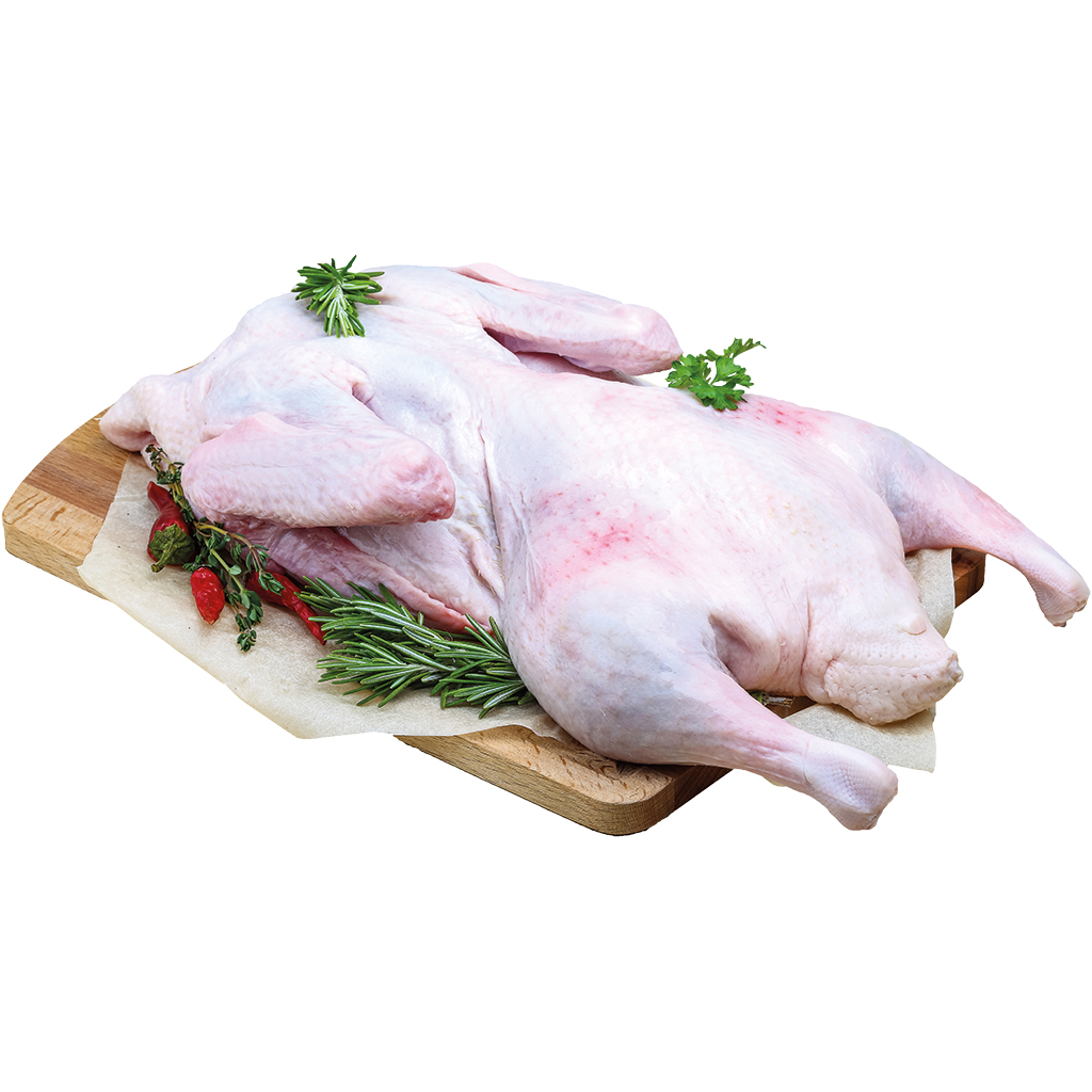 Eend
