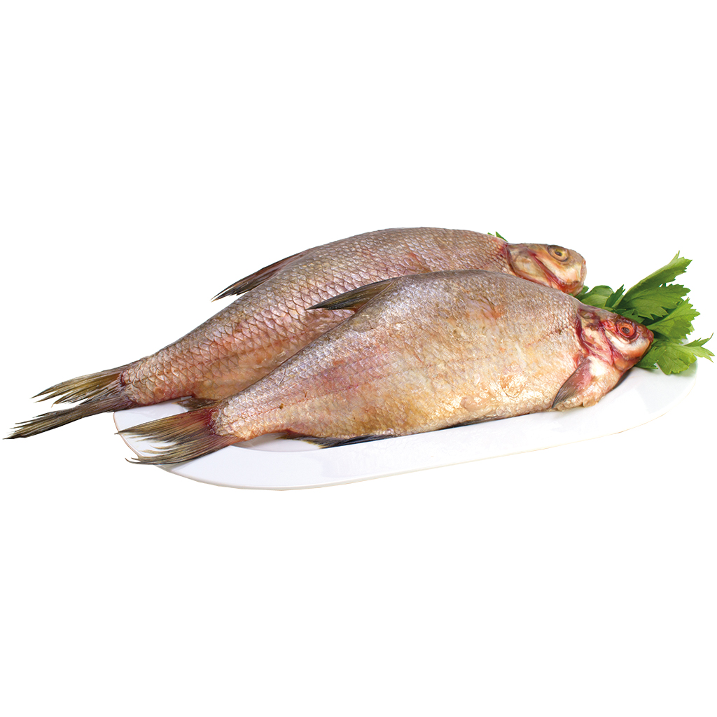 Brachse "Lesch" vers (Abramis brama)