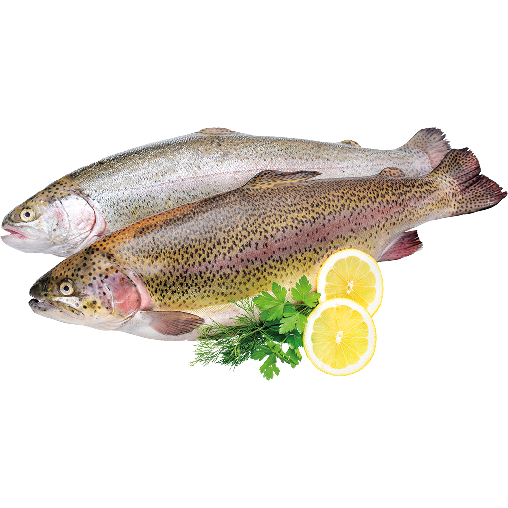 Diepgevroren forel (Salmo trutta) voor op de grill