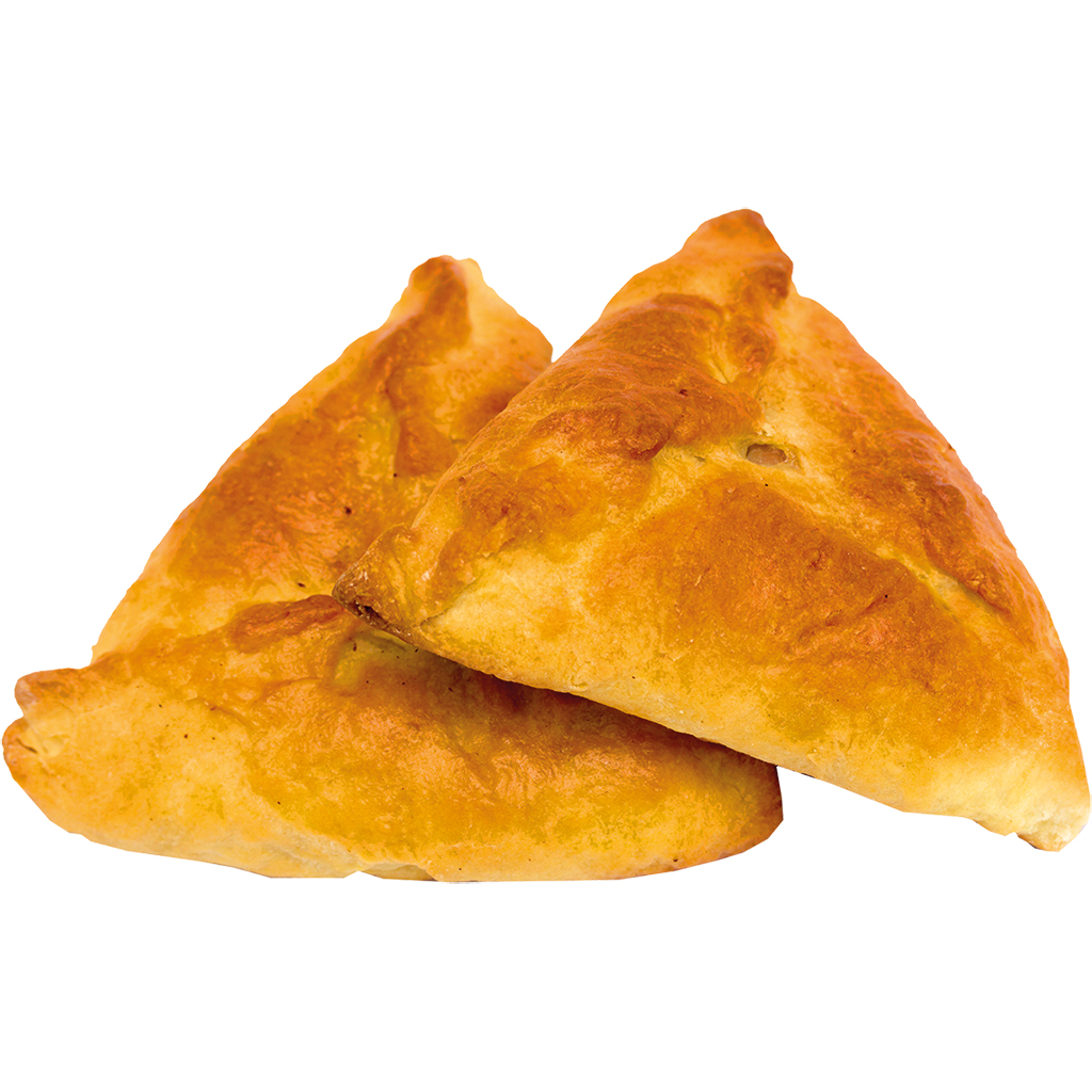 Cамса с мясом