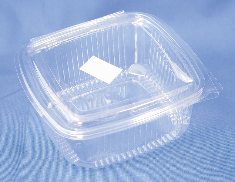 Voedselcontainer met deksel-doorzichtig / 1000g