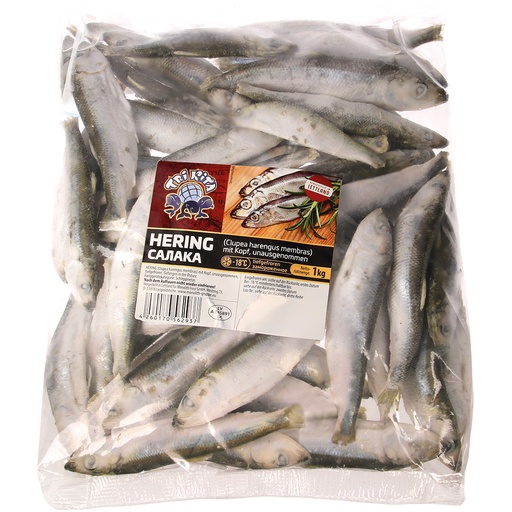 [01433] Strömling - Haring (Clupea harengus membras) met kop