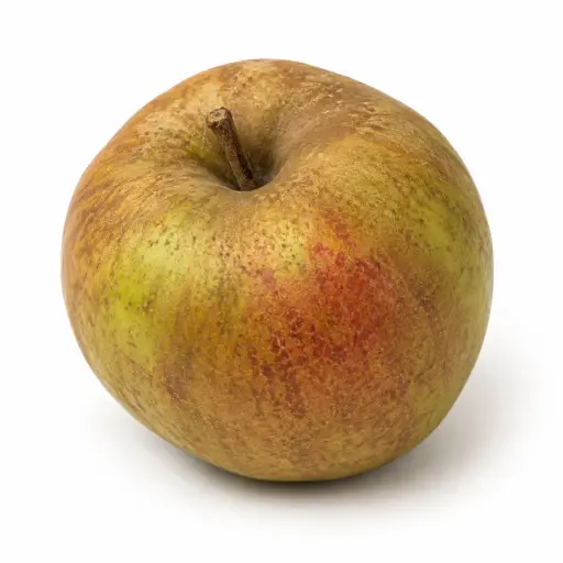 [1119] Appels Boskoop