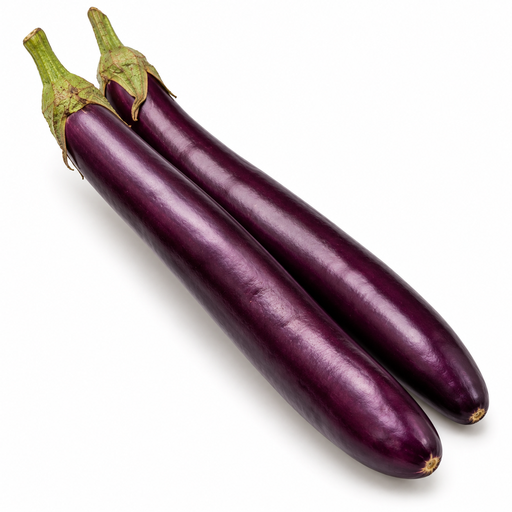 [2122] Aubergine lange