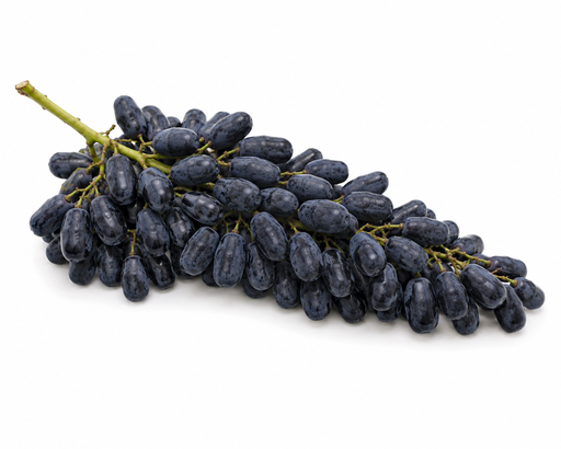 [1206] Druiven blauw Midnihgt Beauty