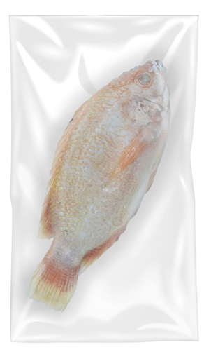 [0001015257] Rode Tilapia Rauw Gestript En Ontschubd 500/800