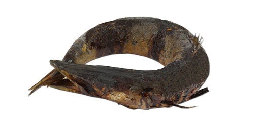 [9075] Barracuda ring gerookt en gedroogd