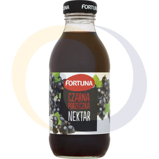 [49699000ANS] Fortuna zwarte bes sap 0,3l