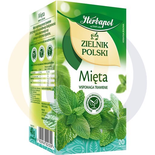 [54209000HER] Травяной чай с мятой Herbapol Zielnik Polski 40 г (20 x 2 г)