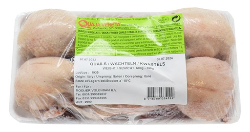 [0001017454] Kwartel (Chim Cut) variabel 6x4 stuks