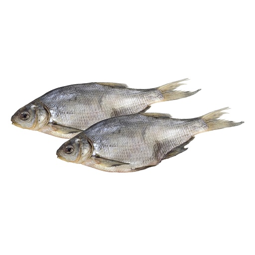 [11353] Brassen (0,5kg-0,7kg), heel, gezouten en gedroogd, diepvries