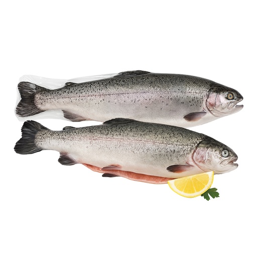 [01018] Zalmforel, ontdaan van ingewanden, met kop, rauw, gebruikskl