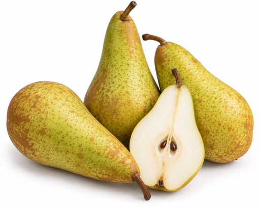 [1293] Peren Belgie