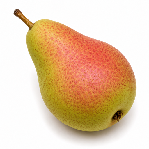 [1303] Peren Forelle