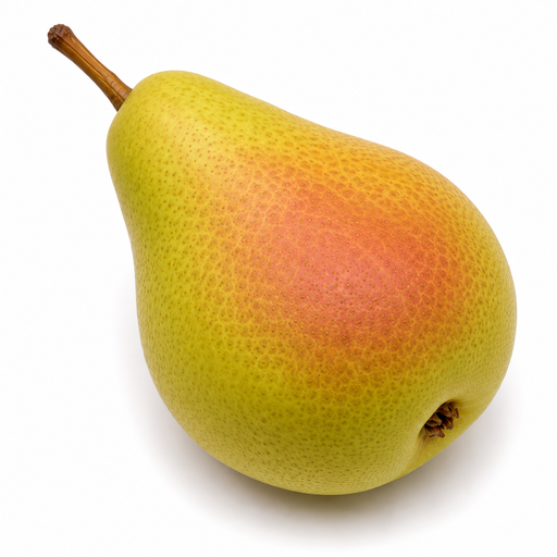 [1305] Peren Guyot