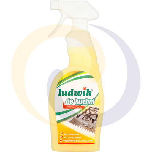 [40691000INC] Keukenreinigingsmelk Louis 750ml Inco