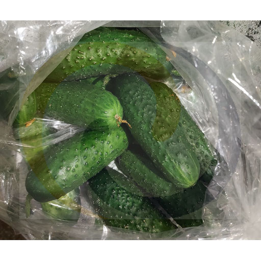 [73402000WEX] Doos komkommers 5kg