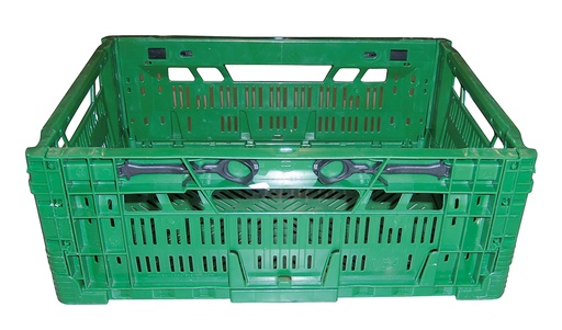 [99268] Borg EPS-vouwdoos (groen) 30 x 40 cm