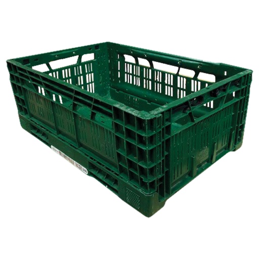 [99269] Borg EPS-vouwdoos (groen) 60 x 40 cm
