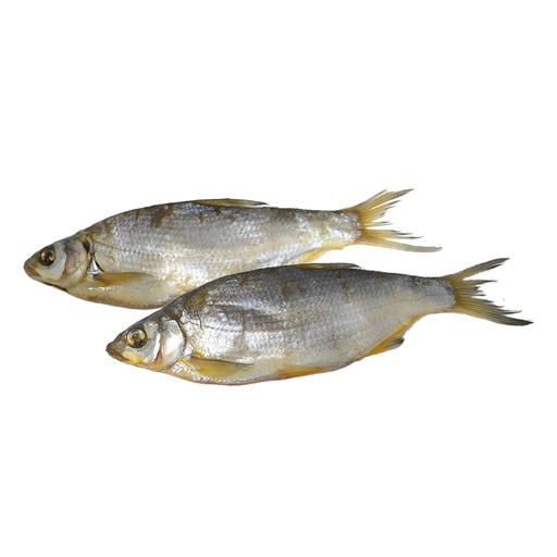 [11355] "Wobla" Kaspisch Roodoog uit de Kaspische Zee, heel, gezouten en gedroogd, diepgevroren / los