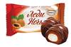 [292252] AKK Ledi Notsj abrikoos in chocolade