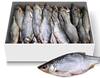 [114392] Gedroogde gezouten rietvoorn 15-25 cm, per kg