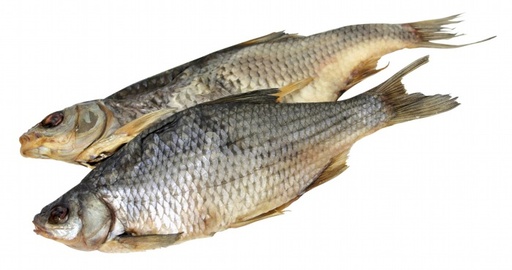 [11011] Sla (Rutilus rutilus) gezouten en gedroogd, niet schoongemaa