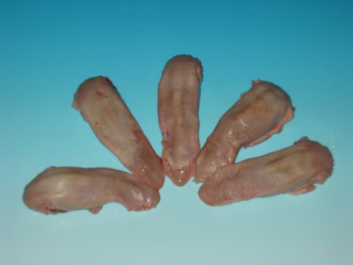 Vers gebraden varkenstong
