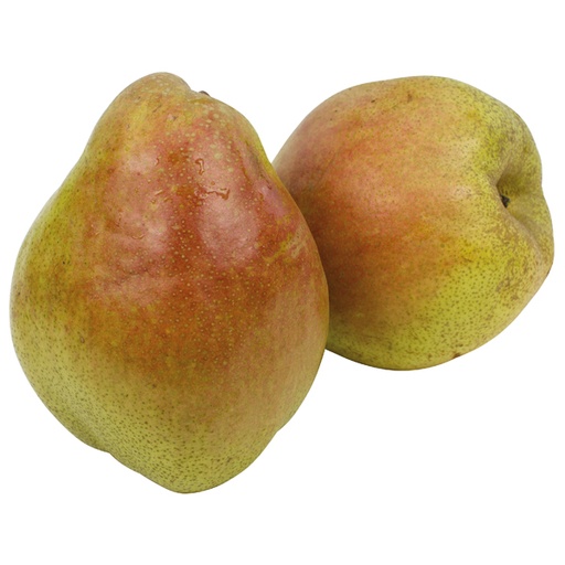 Peren "Forelle"