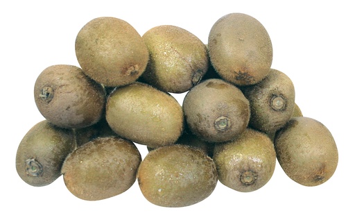 Groene kiwi stuk
