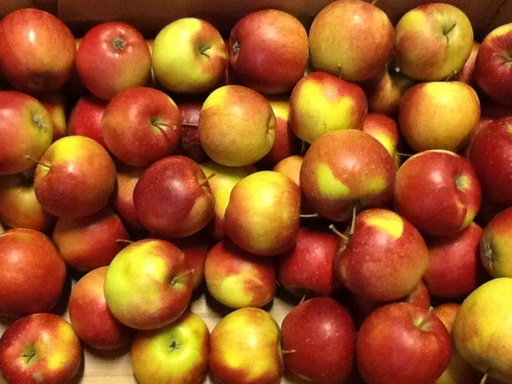 Appels "Elise"