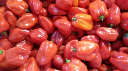 Habanero