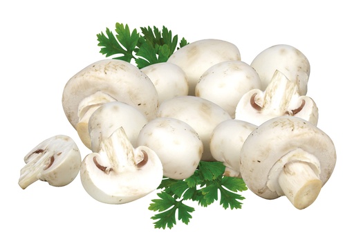 Vullchampignons wit