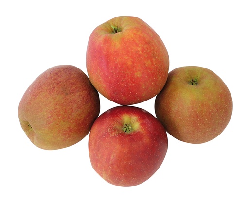 Appels "Boskoop"