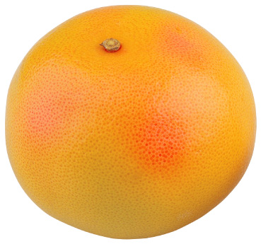 Grapefruit
