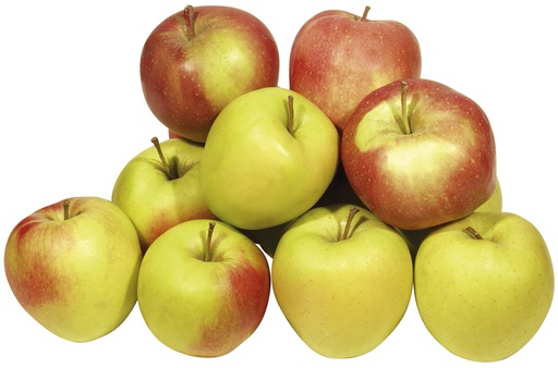 Appels verschillende soorten