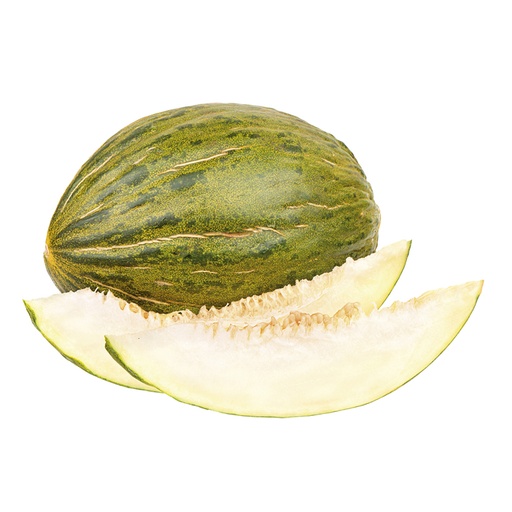 Meloenen "PIEL DE SAPO" groen