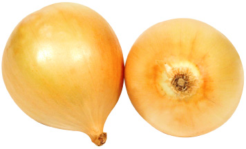 Jonge uien / Uien nieuwe oogst