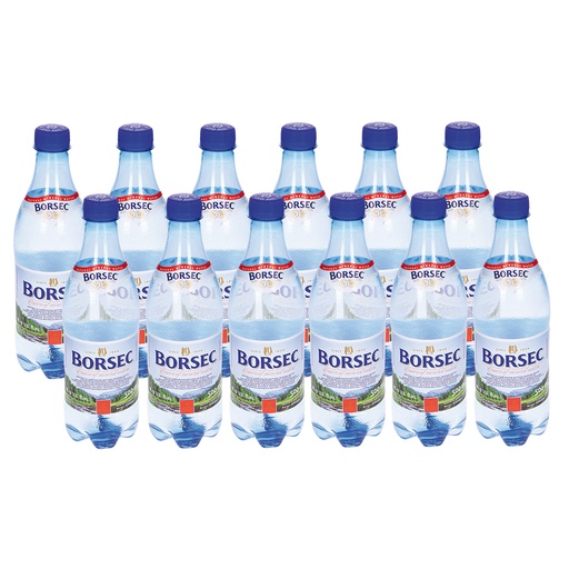 Mineraalwater "Borsec" met koolzuur 12 x 0,5L
